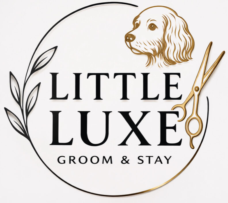 Little Luxe Groom Stay